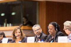 Panel at th eEuropean Parliament, Gender Summit 9 Europe