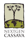 Nextgen cassava logo